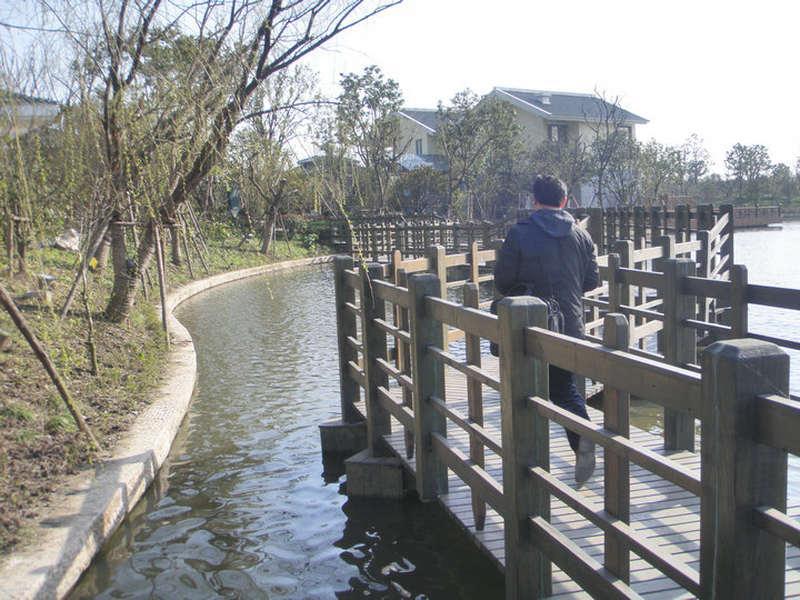 木桥欣赏二零二五二八2520 帖子ID:1242-木图网-木结构之家 www.woodpic.cn