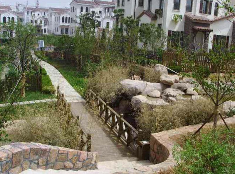 木桥欣赏二零二五三七3065 帖子ID:1251-木图网-木结构之家 www.woodpic.cn