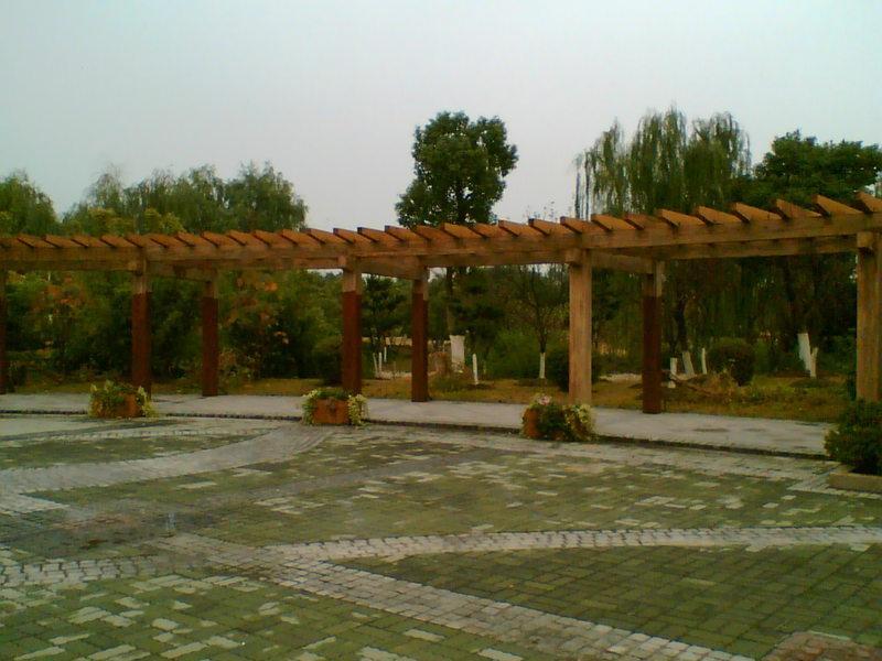 木花架欣赏二零零五十七8586 帖子ID:1276-木图网-木结构之家 www.woodpic.cn