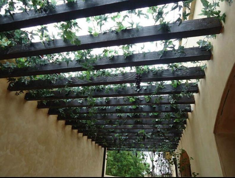 木花架欣赏二零零五三十3228 帖子ID:1289-木图网-木结构之家 www.woodpic.cn