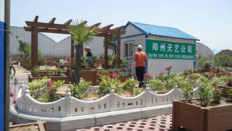 木花架欣赏二零零五三九9300 帖子ID:1298-木图网-木结构之家 www.woodpic.cn