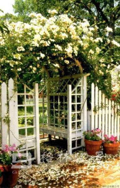 木花架欣赏二零零五三九9041 帖子ID:1298-木图网-木结构之家 www.woodpic.cn