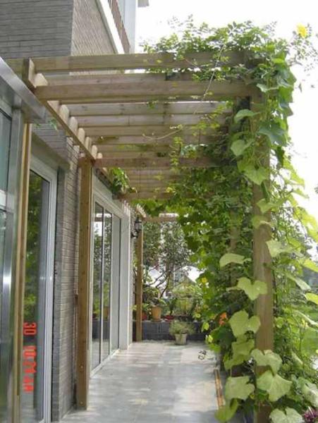 木花架欣赏二零零五四一3032 帖子ID:1300-木图网-木结构之家 www.woodpic.cn