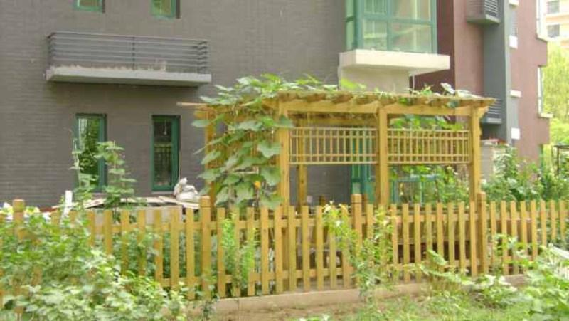 木花架欣赏二零零五五八6371 帖子ID:1317-木图网-木结构之家 www.woodpic.cn