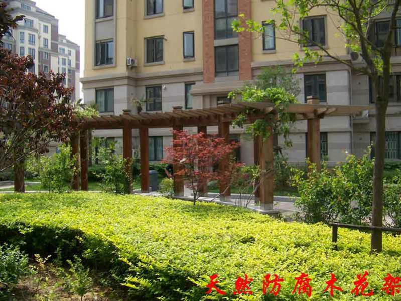 木花架欣赏二零零五六四3463 帖子ID:1323-木图网-木结构之家 www.woodpic.cn