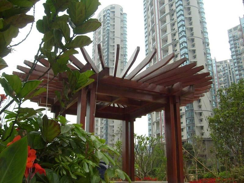 木花架欣赏二零零五六一3607 帖子ID:1320-木图网-木结构之家 www.woodpic.cn