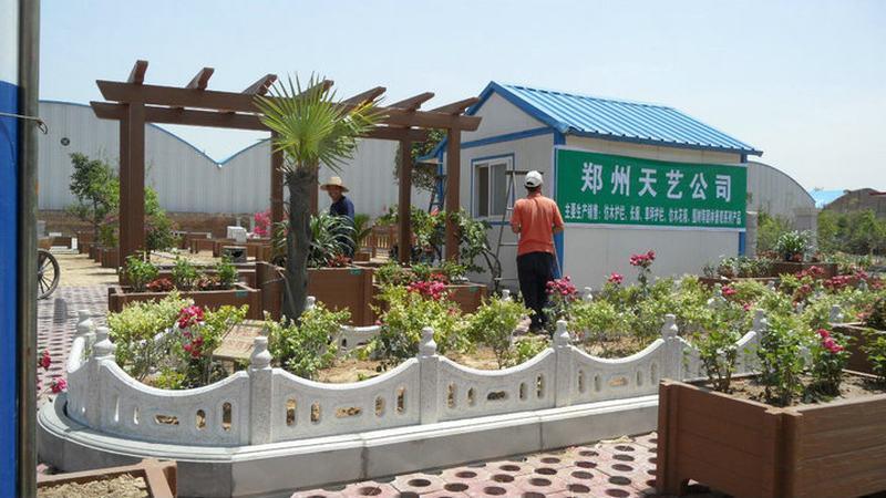 木花架欣赏二零零五八二275 帖子ID:1341-木图网-木结构之家 www.woodpic.cn