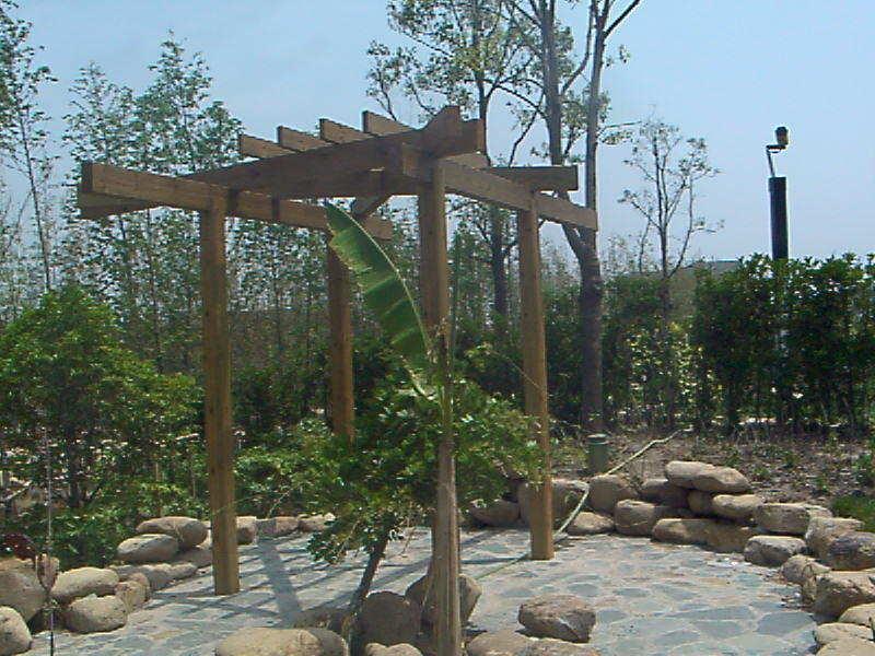 木花架欣赏二零零五一零六7501 帖子ID:1365-木图网-木结构之家 www.woodpic.cn