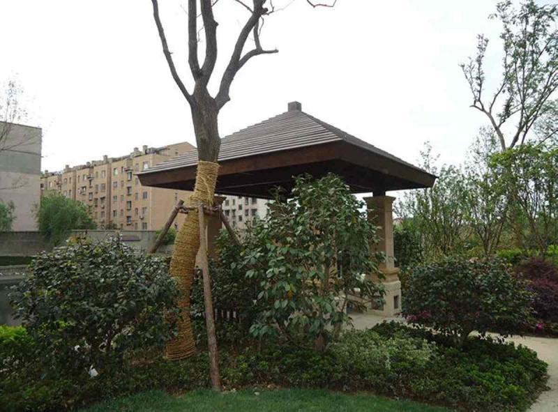 防腐木凉亭二零零五十二9315 帖子ID:1377-木图网-木结构之家 www.woodpic.cn