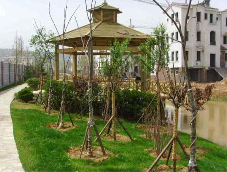 防腐木凉亭二零零五十四1314 帖子ID:1379-木图网-木结构之家 www.woodpic.cn