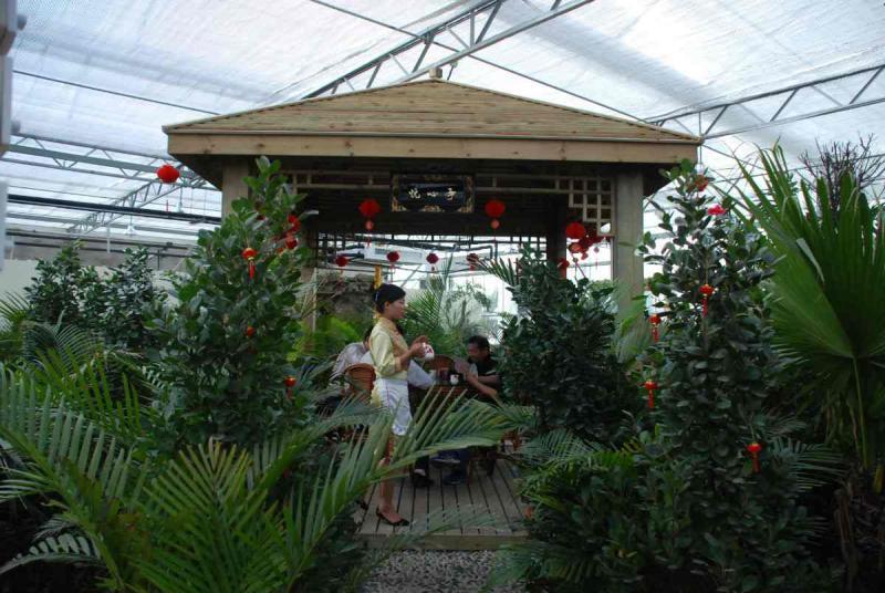 防腐木凉亭二零零五二五2530 帖子ID:1390-木图网-木结构之家 www.woodpic.cn