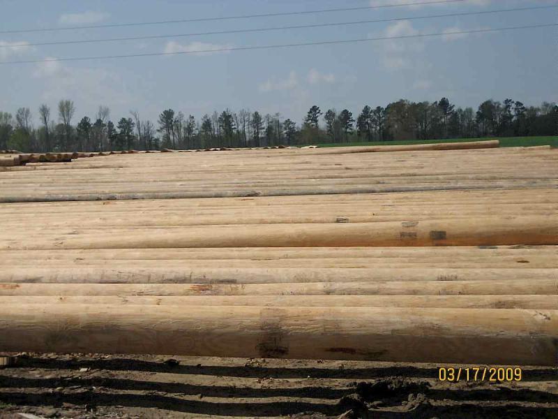 硬木加工圆木堆场743 帖子ID:1537-木图网-木结构之家 www.woodpic.cn