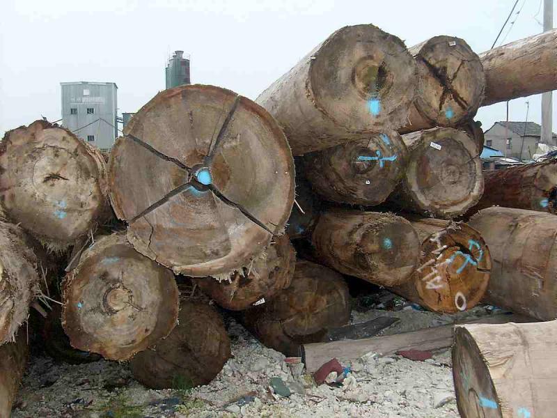 菠萝格原木堆场堆料4625 帖子ID:1536-木图网-木结构之家 www.woodpic.cn