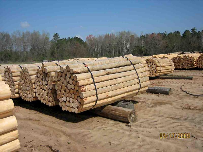 硬木加工圆木堆场8976 帖子ID:1537-木图网-木结构之家 www.woodpic.cn