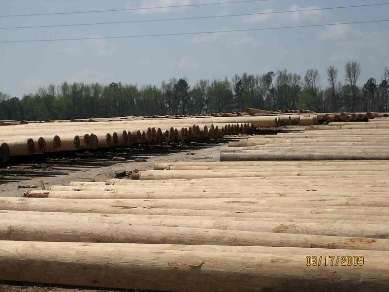 硬木加工圆木堆场4586 帖子ID:1537-木图网-木结构之家 www.woodpic.cn