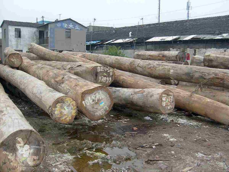 硬木加工圆木堆场2071 帖子ID:1537-木图网-木结构之家 www.woodpic.cn