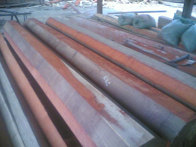 硬木加工圆木堆场6111 帖子ID:1537-木图网-木结构之家 www.woodpic.cn