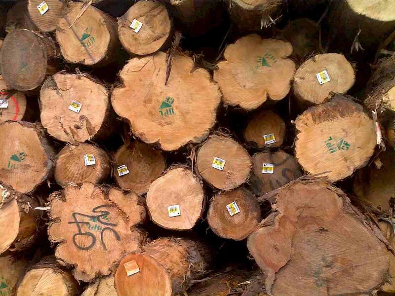 菠萝格原木堆场堆料2046 帖子ID:1536-木图网-木结构之家 www.woodpic.cn