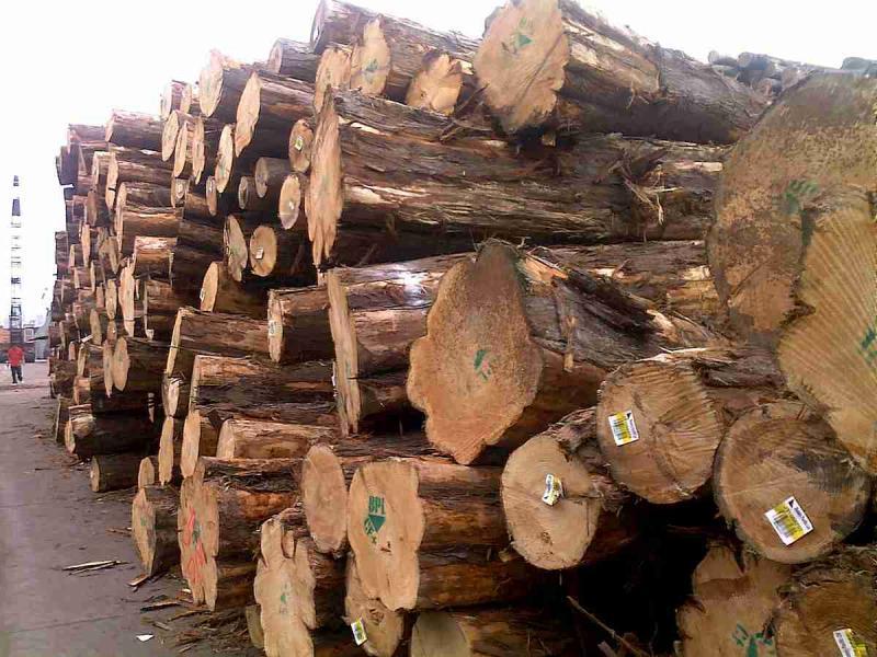 菠萝格原木堆场堆料6027 帖子ID:1536-木图网-木结构之家 www.woodpic.cn