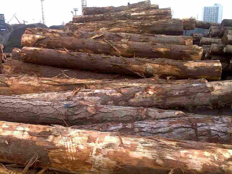 菠萝格原木堆场堆料7369 帖子ID:1536-木图网-木结构之家 www.woodpic.cn
