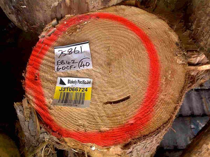 菠萝格原木堆场堆料3887 帖子ID:1536-木图网-木结构之家 www.woodpic.cn