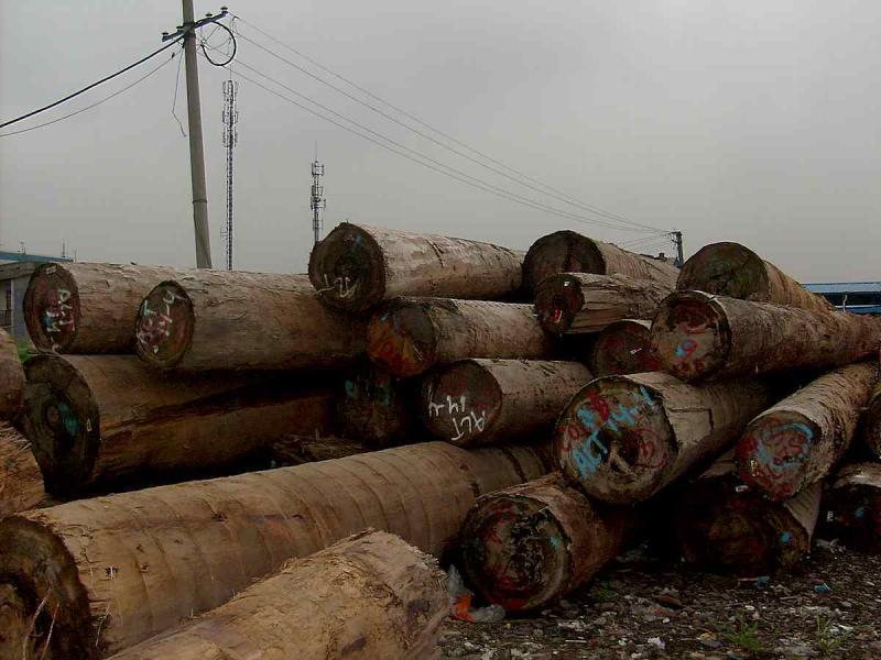 菠萝格原木堆场堆料9665 帖子ID:1536-木图网-木结构之家 www.woodpic.cn