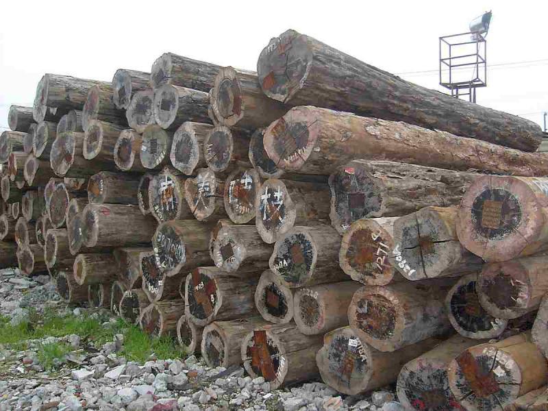 菠萝格原木堆场堆料2653 帖子ID:1536-木图网-木结构之家 www.woodpic.cn