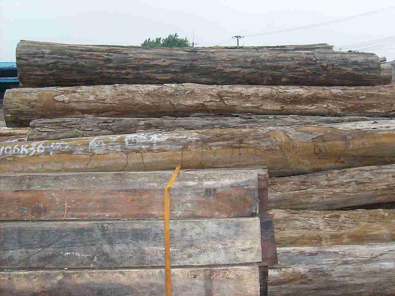 菠萝格原木堆场堆料5370 帖子ID:1536-木图网-木结构之家 www.woodpic.cn