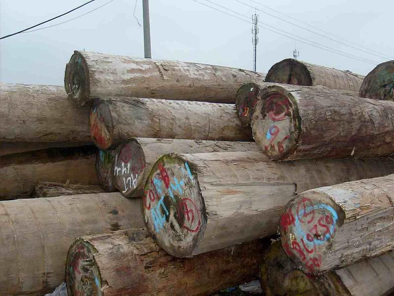 菠萝格原木堆场堆料4262 帖子ID:1536-木图网-木结构之家 www.woodpic.cn