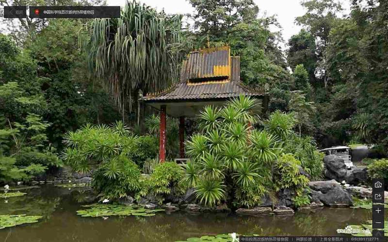 云南省中科院西双版纳热带植物园傣族木凉亭5590 帖子ID:1621-木图网-木结构之家 www.woodpic.cn
