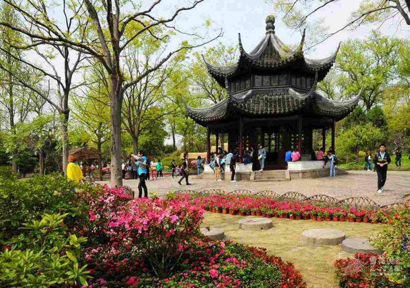 古建凉亭欣赏八306 帖子ID:1674-木图网-木结构之家 www.woodpic.cn