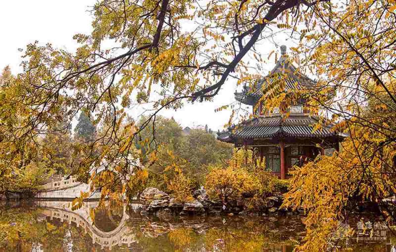 古建凉亭欣赏八4157 帖子ID:1674-木图网-木结构之家 www.woodpic.cn