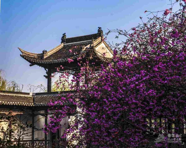 古建凉亭欣赏二四2378 帖子ID:1690-木图网-木结构之家 www.woodpic.cn