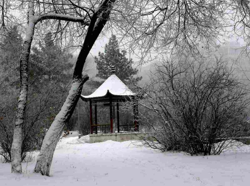 古建凉亭欣赏三三4111 帖子ID:1699-木图网-木结构之家 www.woodpic.cn