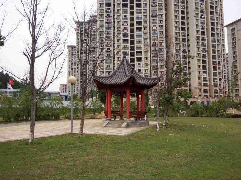 公园里的仿古亭欣赏3296 帖子ID:1707-木图网-木结构之家 www.woodpic.cn