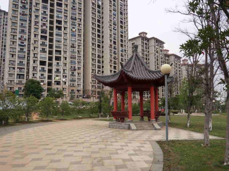 公园里的仿古亭欣赏8621 帖子ID:1707-木图网-木结构之家 www.woodpic.cn