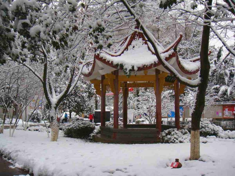 古建凉亭欣赏二九3805 帖子ID:1695-木图网-木结构之家 www.woodpic.cn