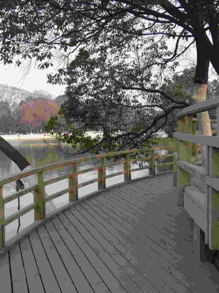 防腐木栏杆欣赏八8950 帖子ID:1721-木图网-木结构之家 www.woodpic.cn