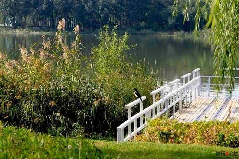 防腐木栏杆欣赏二十五9169 帖子ID:1738-木图网-木结构之家 www.woodpic.cn