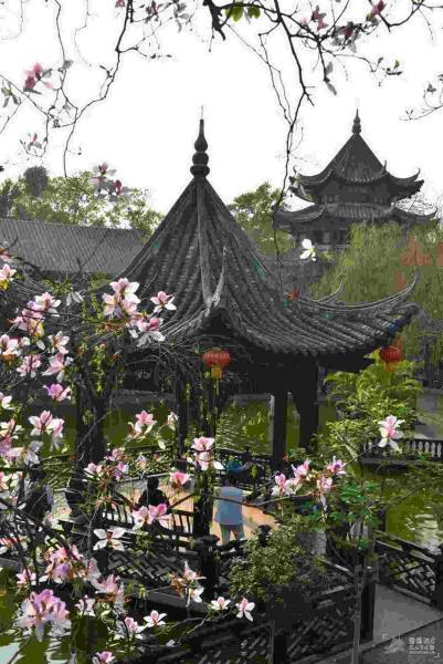 古建筑欣赏四111 帖子ID:1794-木图网-木结构之家 www.woodpic.cn