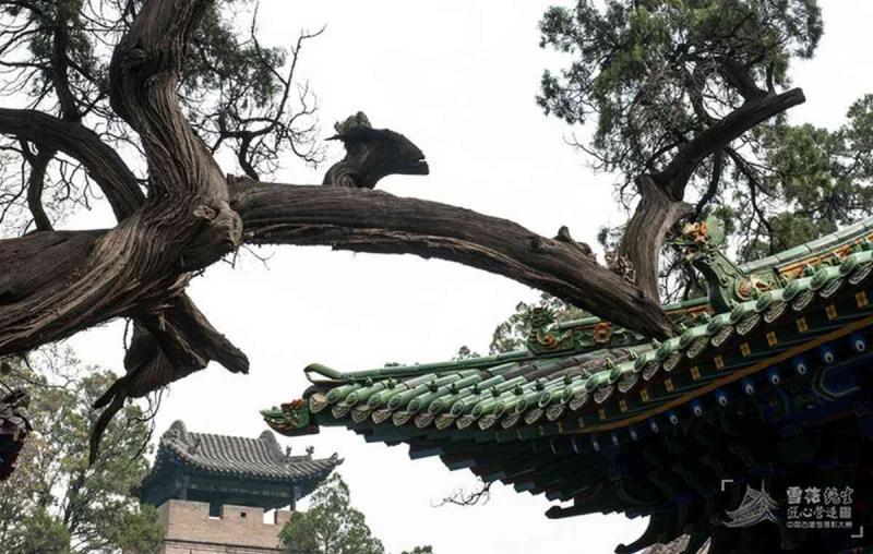 古建筑欣赏二十二5683 帖子ID:1830-木图网-木结构之家 www.woodpic.cn