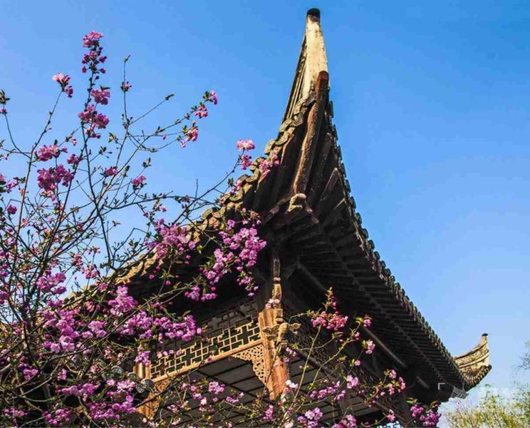 古建筑欣赏四十二7843 帖子ID:1900-木图网-木结构之家 www.woodpic.cn