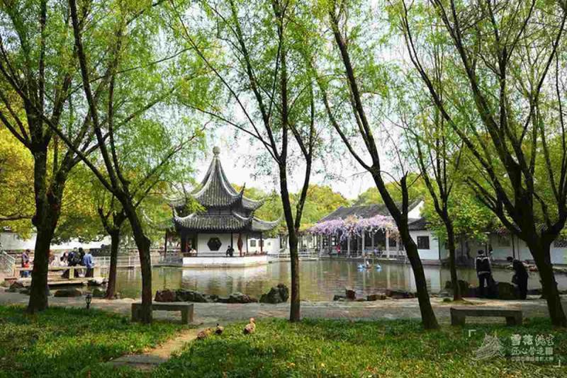 古建筑欣赏四十二8808 帖子ID:1900-木图网-木结构之家 www.woodpic.cn