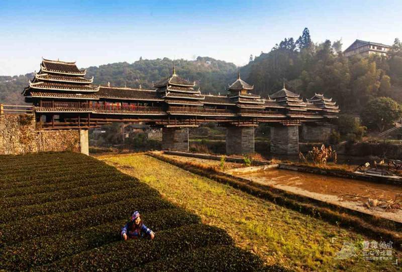 古建筑欣赏四十四4113 帖子ID:1902-木图网-木结构之家 www.woodpic.cn