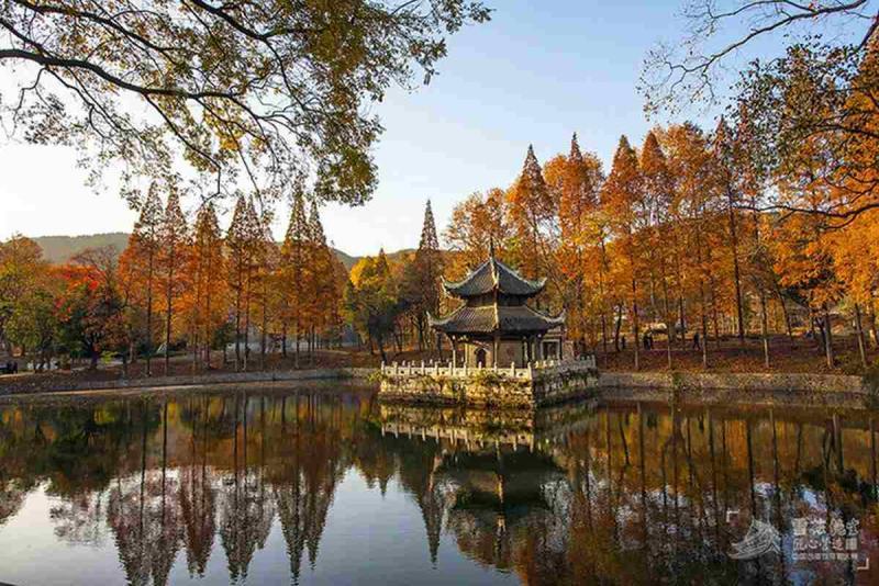 古建筑欣赏四十六5183 帖子ID:1904-木图网-木结构之家 www.woodpic.cn